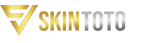 logo SKINTOTO